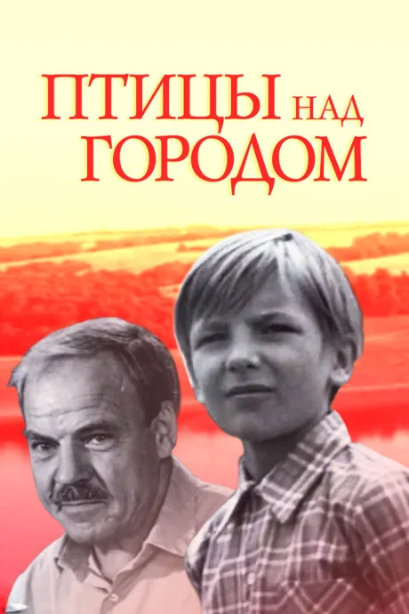 Птицы над городом — постер