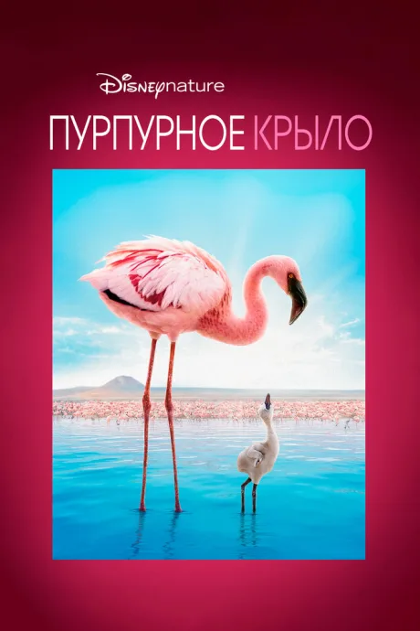 Пурпурное крыло — постер
