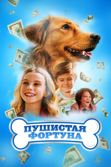 Пушистая фортуна — постер