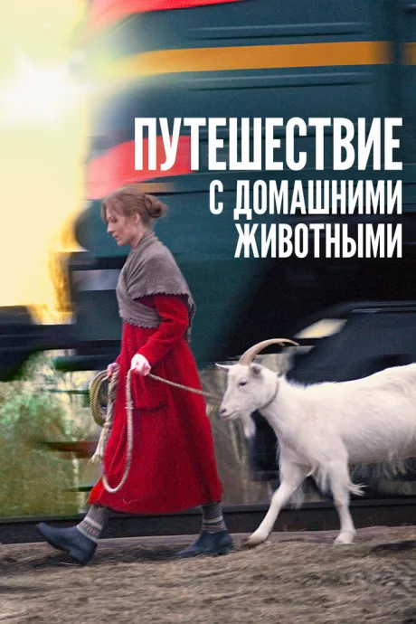Путешествие с домашними животными — постер