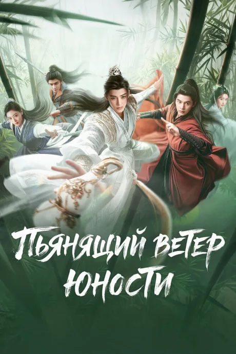 Пьянящий ветер юности — постер