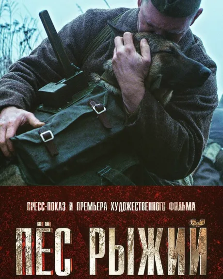 Пёс рыжий — постер
