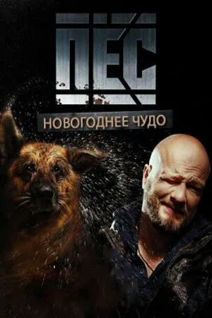 Пёс. Новогоднее чудо — постер