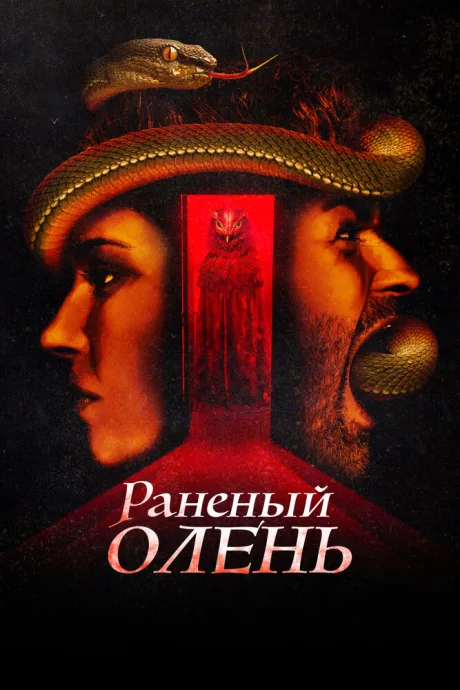 Раненый олень — постер