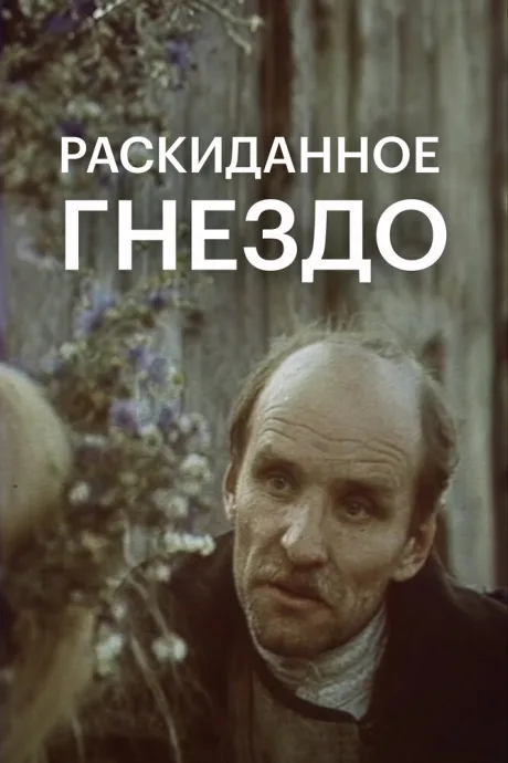 Раскиданное гнездо — постер