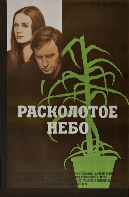 Расколотое небо — постер