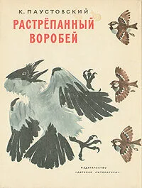 Растрёпанный воробей — постер