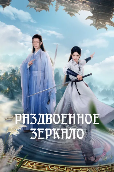 Раздвоенное зеркало — постер