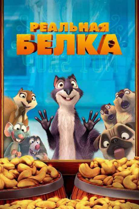 Реальная белка — постер
