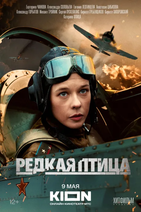Редкая птица — постер