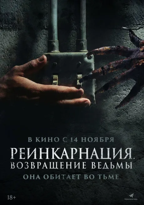 Реинкарнация. Возвращение ведьмы — постер