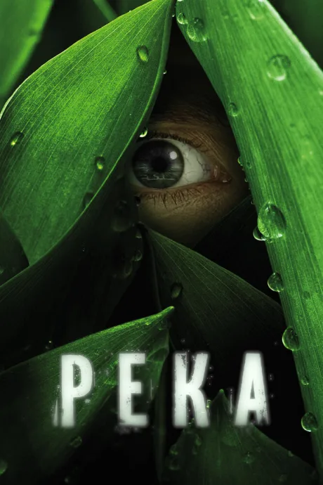 Река — постер