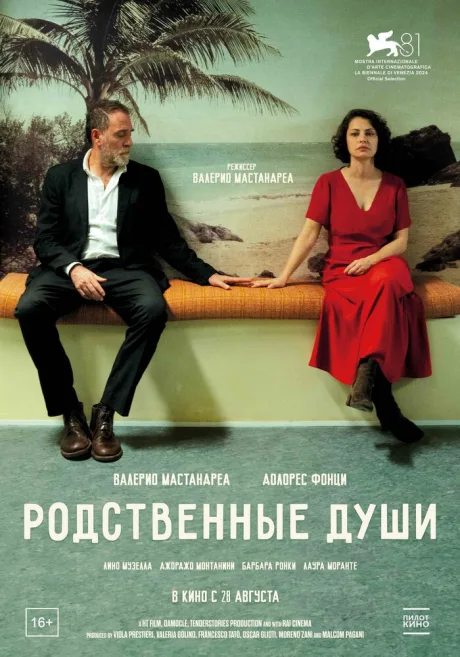 Родственные души — постер