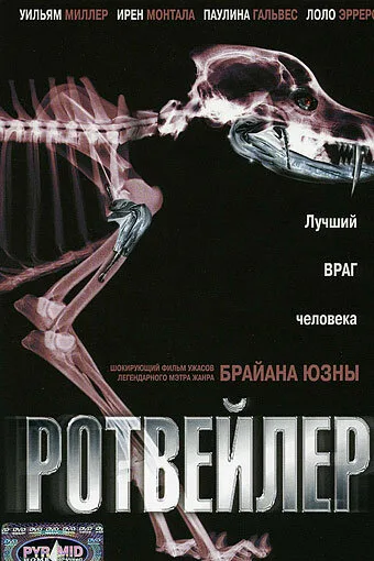 Ротвейлер — постер