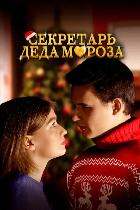 Секретарь Деда Мороза — постер