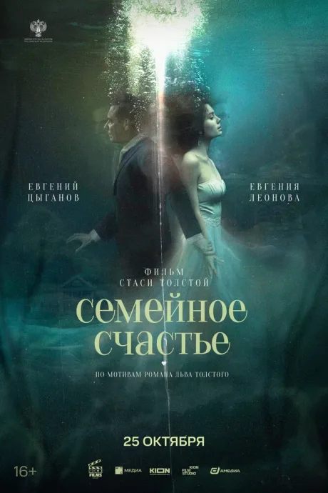 Семейное счастье — постер