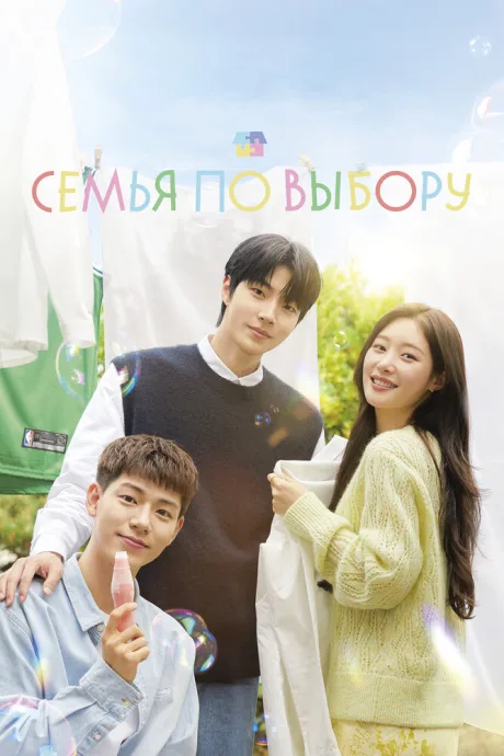 Семья по выбору — постер