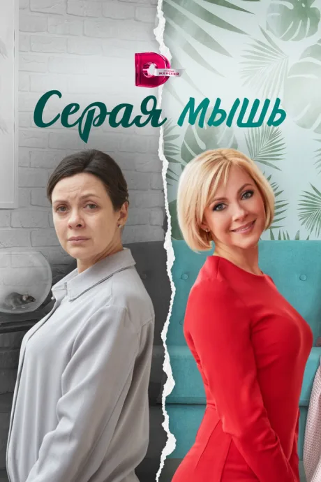 Серая мышь — постер