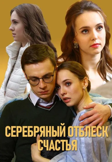 Серебряный отблеск счастья — постер