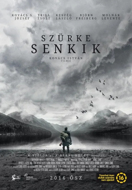 Серые посланцы — постер