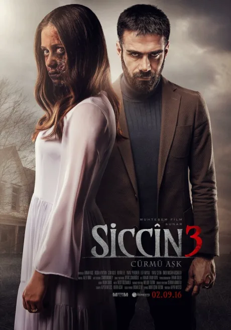 Сиджин 3 — постер