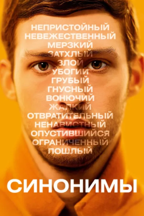 Синонимы — постер