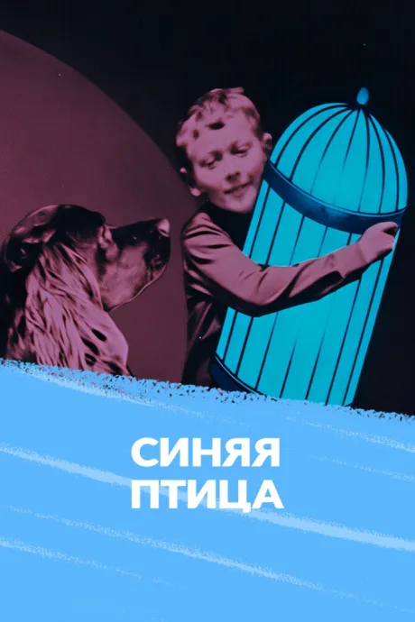 Синяя птица — постер