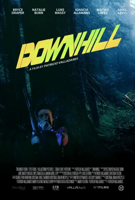 Скоростной спуск — постер