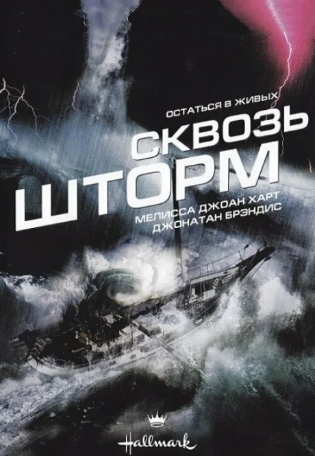 Сквозь шторм — постер