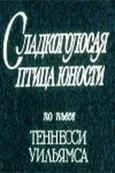 Сладкоголосая птица юности — постер