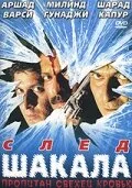 След шакала — постер