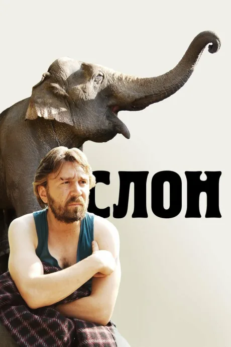 Слон — постер