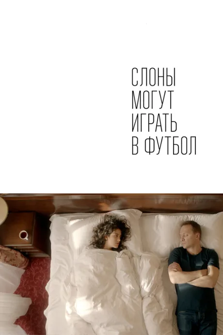 Слоны могут играть в футбол — постер