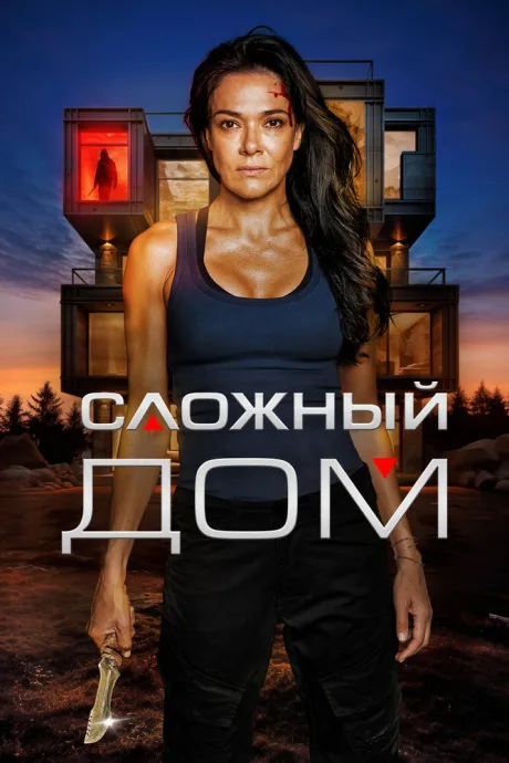 Сложный дом — постер