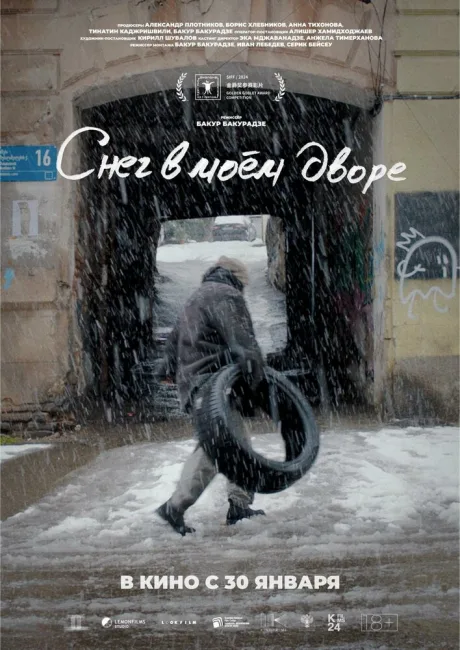 Снег в моём дворе — постер