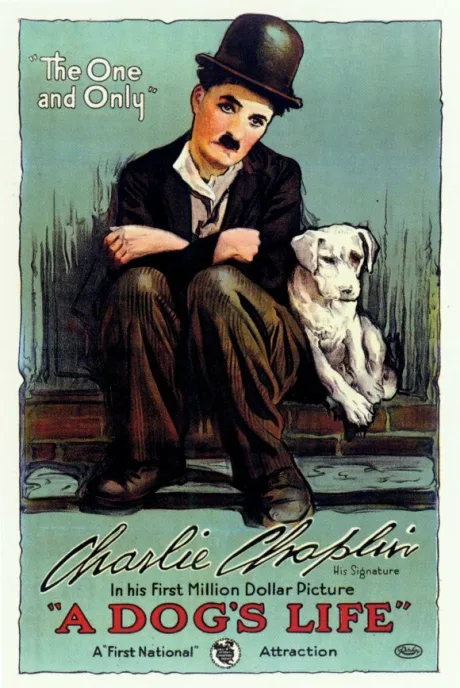 Собачья жизнь — постер