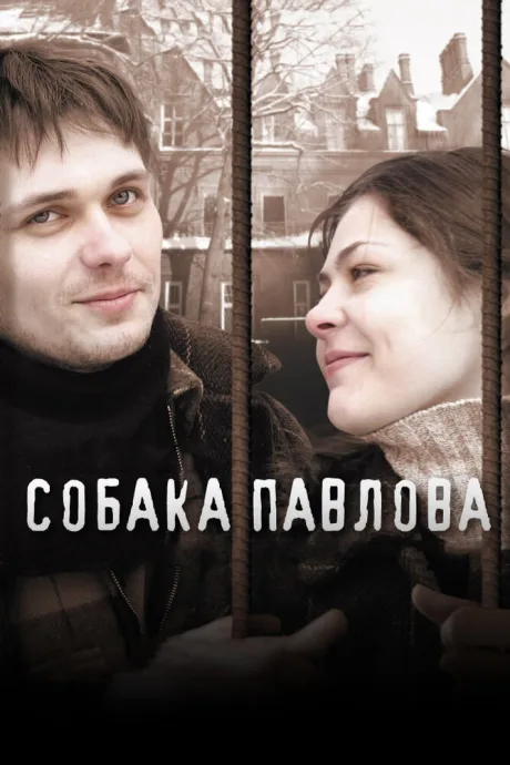 Собака Павлова — постер