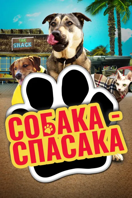 Собака-спасака — постер