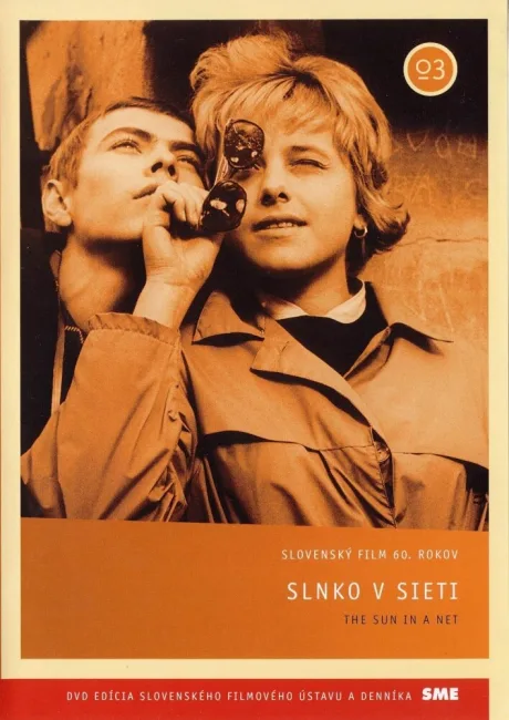 Солнце в сети — постер