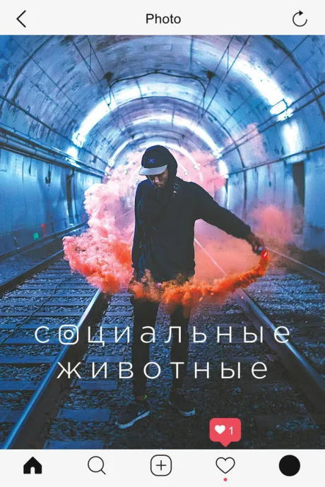 Социальные животные — постер