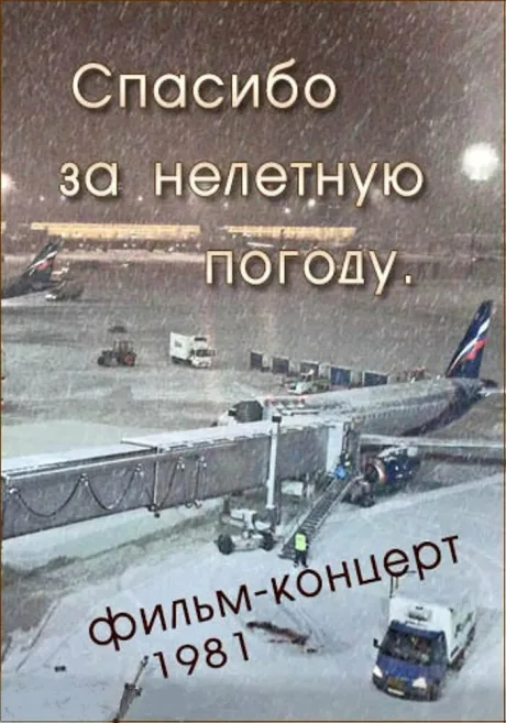 Спасибо за нелётную погоду — постер