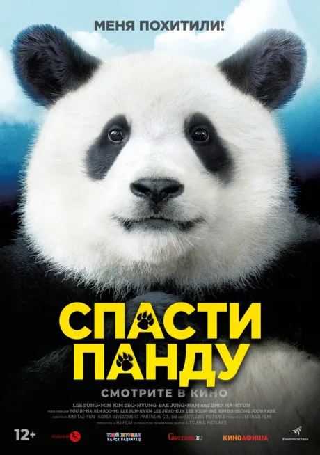 Спасти панду — постер