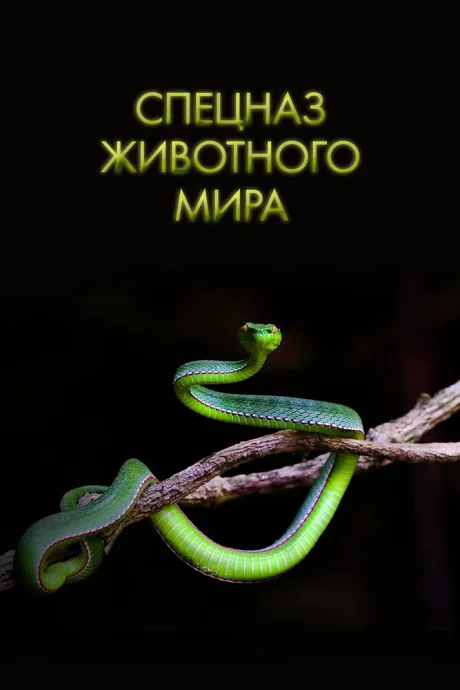 Спецназ животного мира — постер