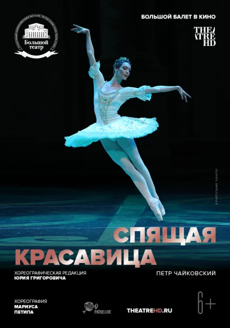 Спящая красавица — постер