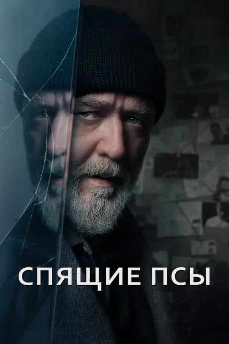 Спящие псы — постер