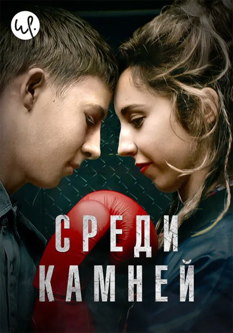 Среди камней — постер