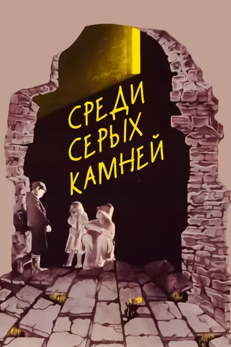 Среди серых камней — постер