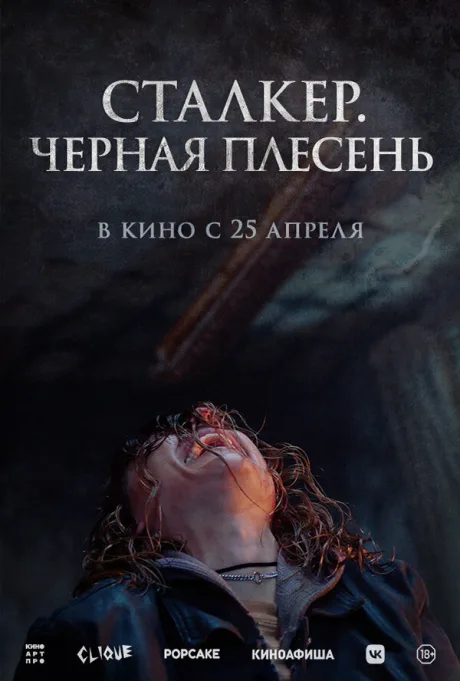 Сталкер. Черная плесень — постер