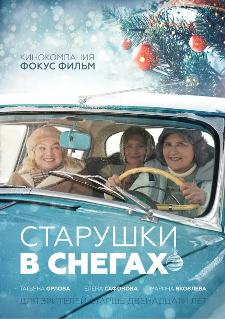 Старушки в снегах — постер