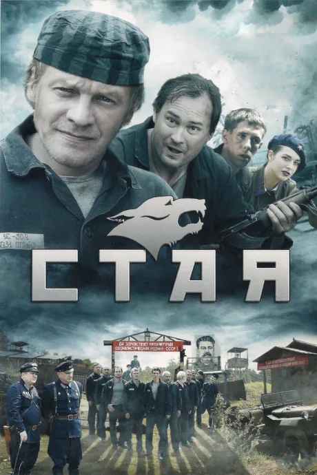 Стая — постер